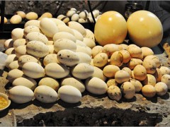 新疆美食 - 和田烤鸡蛋